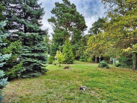 Ansicht neues Baufeld