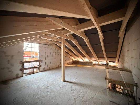 Dachstuhl // NEUBAU Doppelhaus