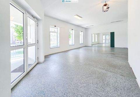 Gmünd Ladenlokale, Ladenflächen 