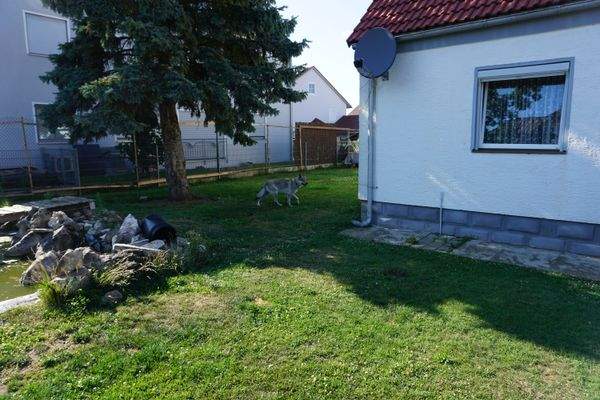 Grünfläche vor dem Haus