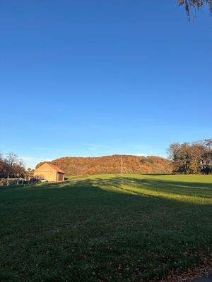 Unmittelbare Umgebung