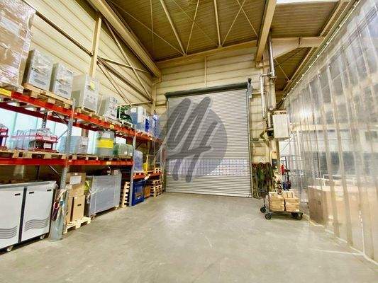 INFOS UNTER: 06171-586000