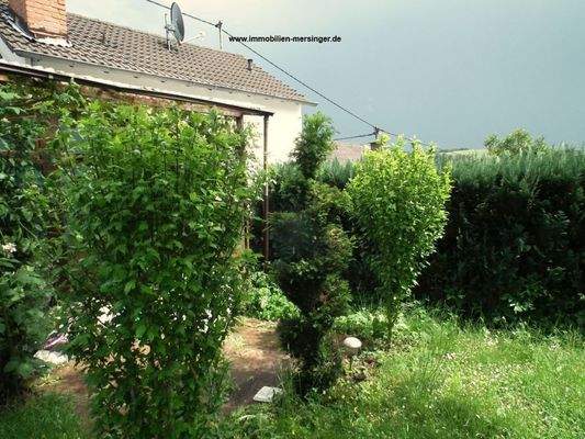 Gartenbereich Bild 2