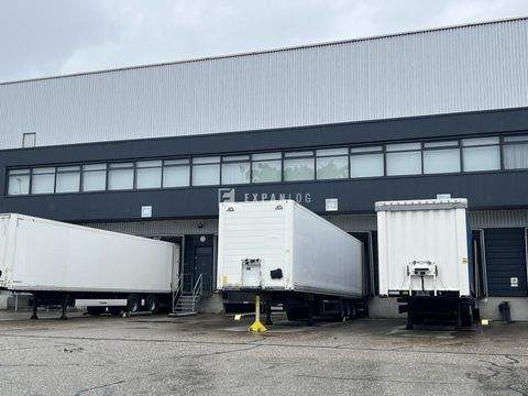 Solingen Halle, Solingen Hallenfläche