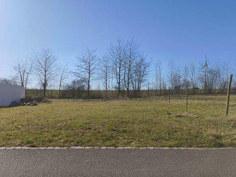 Dettelbach Grundstücke, Dettelbach Grundstück kaufen