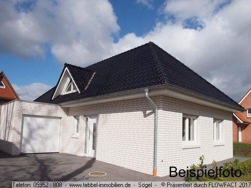 Seitenansicht  - Beispielfoto