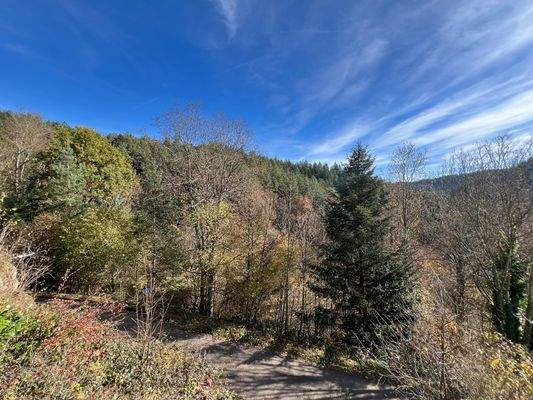 Aussicht vom Balkon im EG