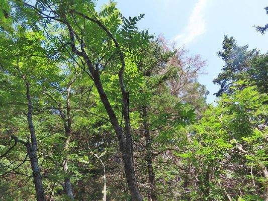 Nova Scotia - Grover?s Point - Atlantik-Grundstück