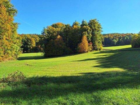 Königstein Bauernhöfe, Landwirtschaft, Königstein Forstwirtschaft