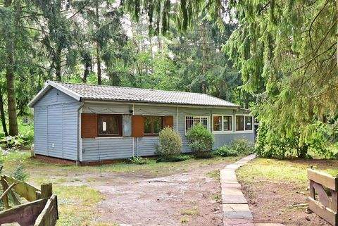 Essel Häuser, Essel Haus kaufen