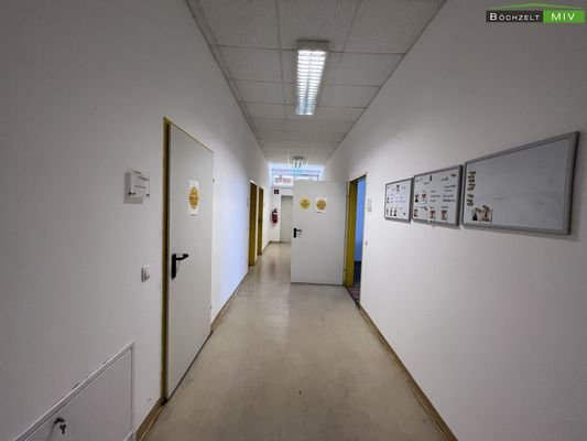 Bild 41