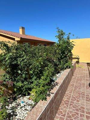 WhatsApp Image 2024-10-30 at 21.43.12 (1).jpeg