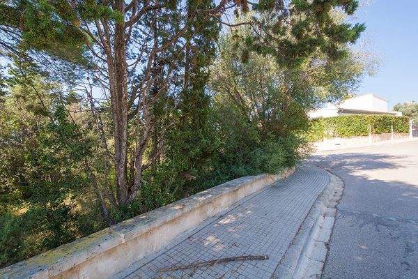 Baugrundstück in Bonaire Alcudia