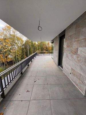 IMG_7537 2024-10-28 12_31_00.JPG