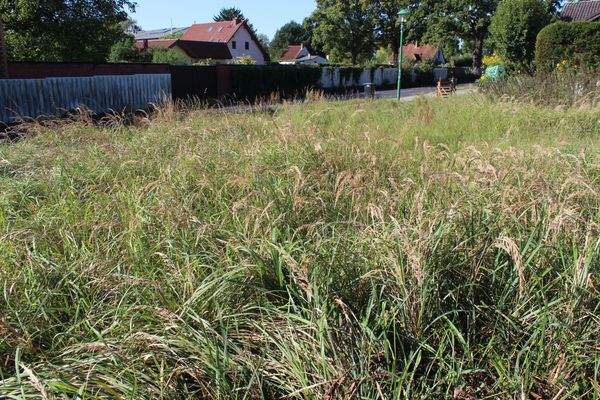Sicht-vom Grundstück zur Straße