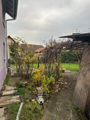 PHOTO-2025-11-18-17-12-47_5