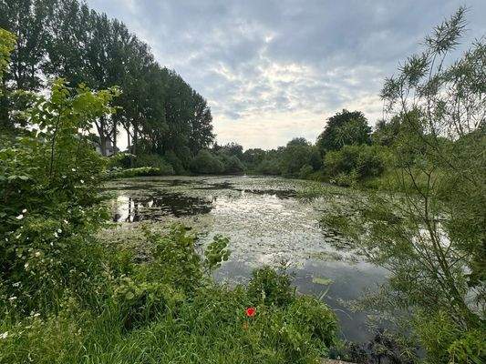 Mühlenteich