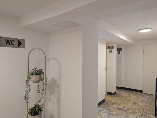 PXL_20240415_153120049-min