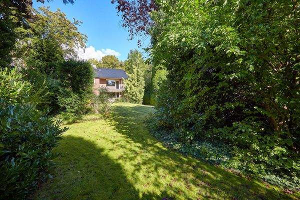 Eingewachsenes Grundstück und Bauminsel