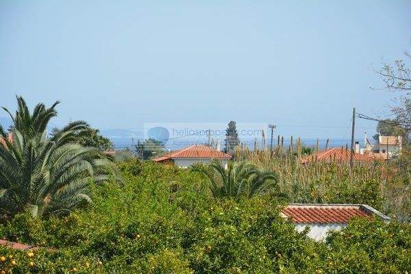 img_16914281-f351-4788-a81f-5b0dc73e864b