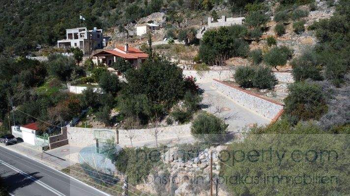 img_e7452a4e-92c5-46c5-b207-18170942a395