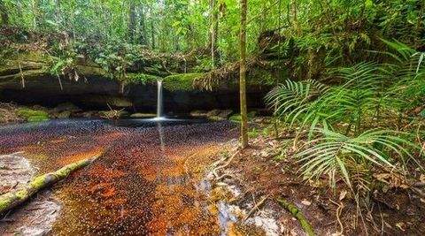 Rio Preto da Eva Grundstücke, Rio Preto da Eva Grundstück kaufen