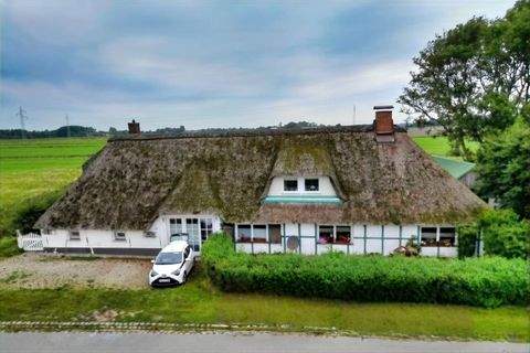 Garding Renditeobjekte, Mehrfamilienhäuser, Geschäftshäuser, Kapitalanlage