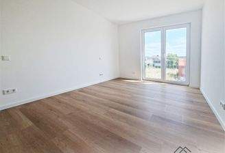 Zimmer1
