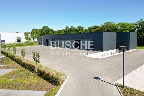 Emsdetten Halle, Emsdetten Hallenfläche