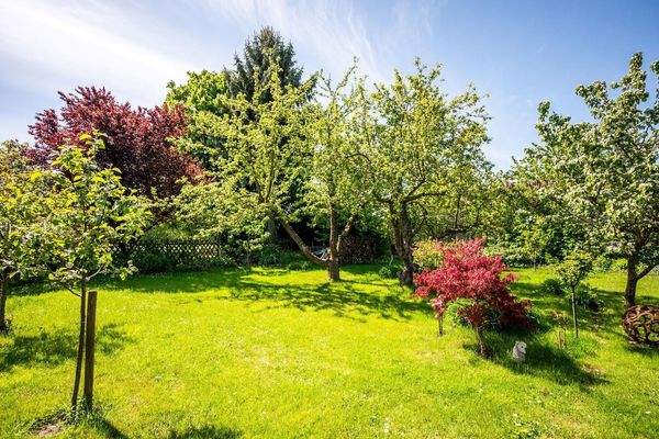 wunderschön gepflegter Garten