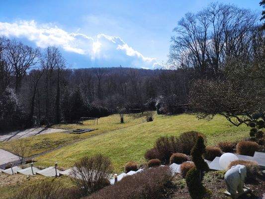 Blick über das Grundstück