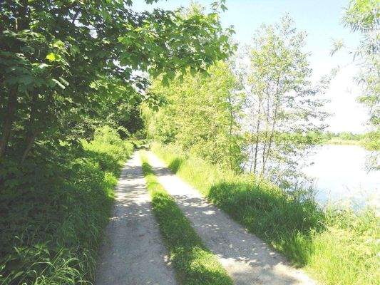 Zufahrt / Baugrundstück