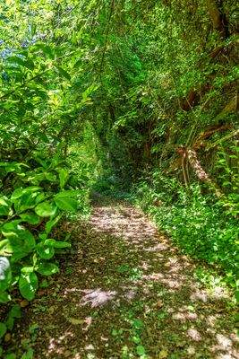 Idyllischer Weg zur Amper