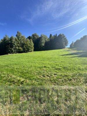 Landwirtschaftliches Grundstück