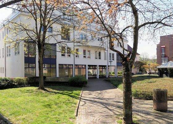 Grünes Umfeld mitten in der Stadt