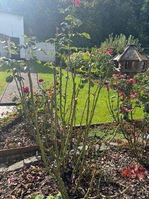 Terrassenblick   Ausschnitt.jpg