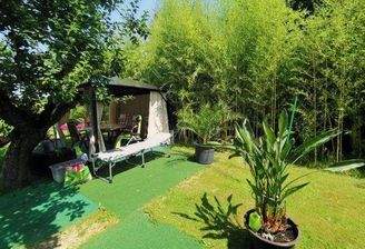 Bild 6 Garten im Sommer (Beispiel)