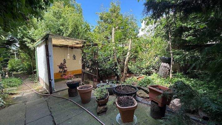 Innenhof mit gewachsenem Grün