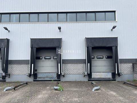 Köln / Eil Halle, Köln / Eil Hallenfläche