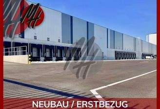 INFOS UNTER: 06171-586000