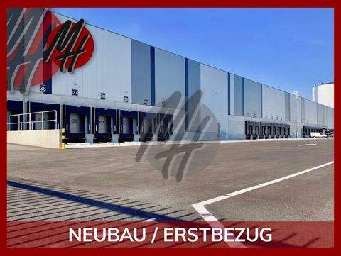 Magdeburg Halle, Magdeburg Hallenfläche