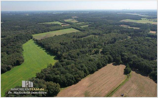 schule-im-wald-zu-verkaufen-Niederrhein-12