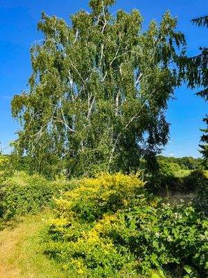 Ein letzter Blick - zur Großen Röder