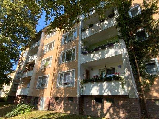 Rückansicht eines mehrstöckigen hellorangenen/weißen Wohngebäudes mit Fenstern und Balkonen, umgeben von Bäumen und einer Wiese hinter dem Haus