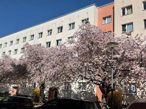 Dresden Wohnungen, Dresden Wohnung mieten