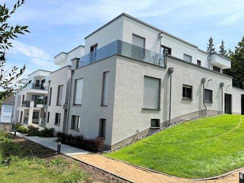 Bonn Wohnungen, Bonn Wohnung mieten