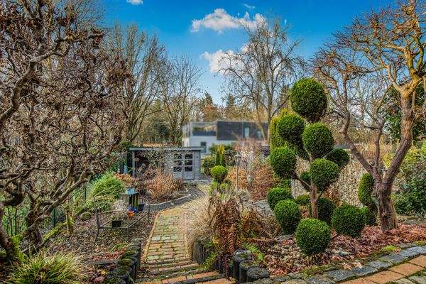 Blick in den liebevoll angelegten Garten