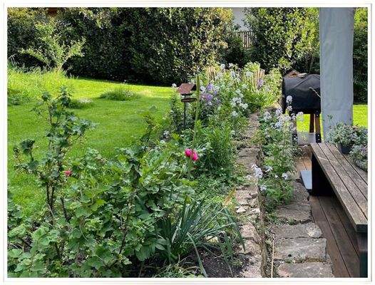 Im sommerlichen Garten