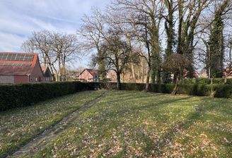 Blick in den Garten