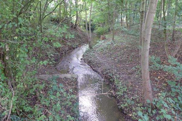 Ermlandstr. allg (3)